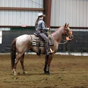 Meet your Posher, Erin